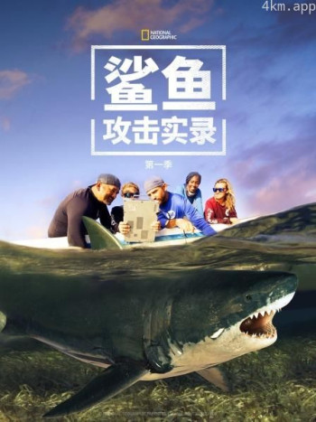 鲨鱼攻击实录 第一季
