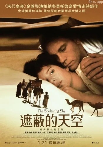 遮蔽的天空