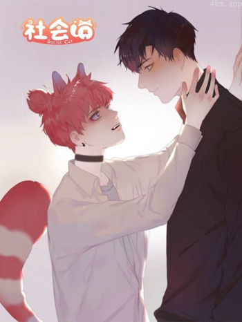 社会喵动态漫画