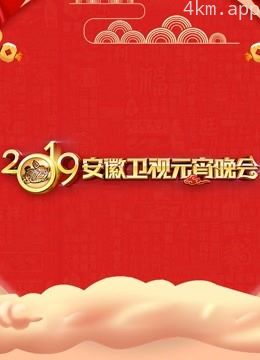 2019安徽卫视元宵晚会