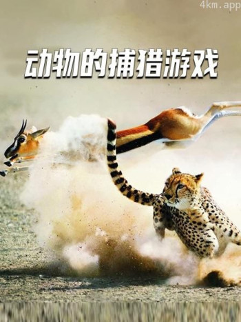 动物的捕猎游戏