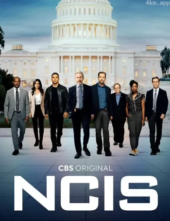 海军罪案调查处 第二十季