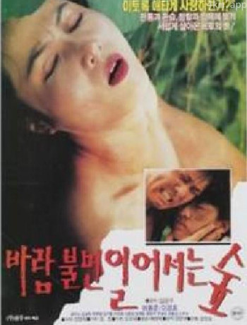 바람불면 일어서는 숲