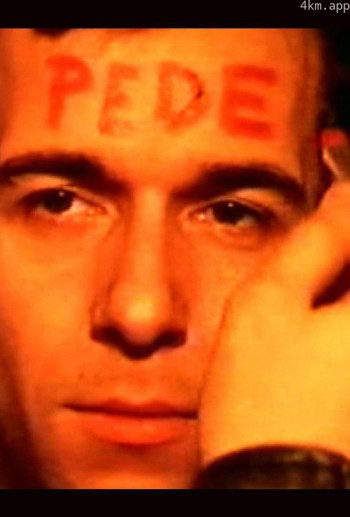 人间世界2:70年代法国㚻片研究