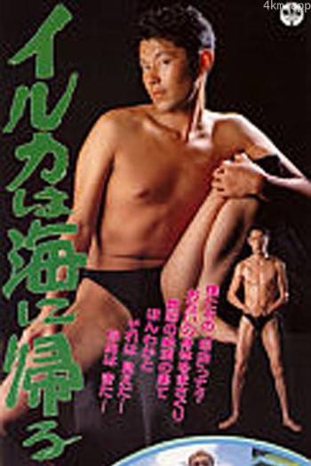 イルカは海に帰る