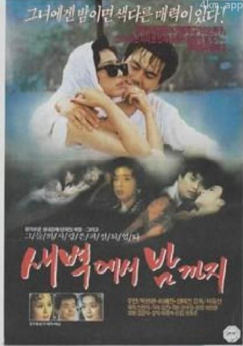 새벽에서 밤까지