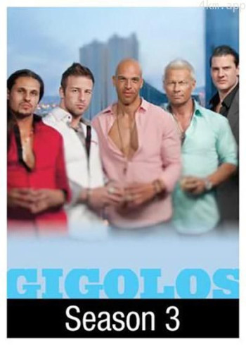 应召男郎 第三季