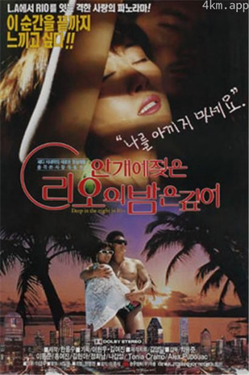 안개에 젖은 리오의 밤은 깊어