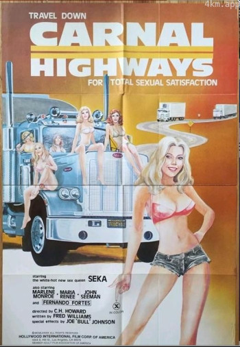 肉体的高速公路