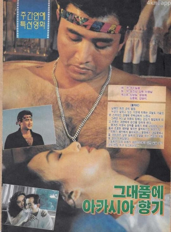 相思香气在你的怀里