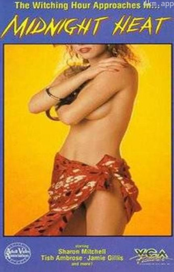 Midnight Heat