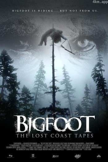 失落海岸的录像带