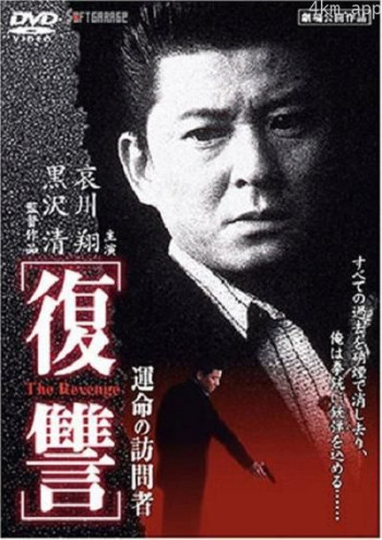 复仇：命运的访问者