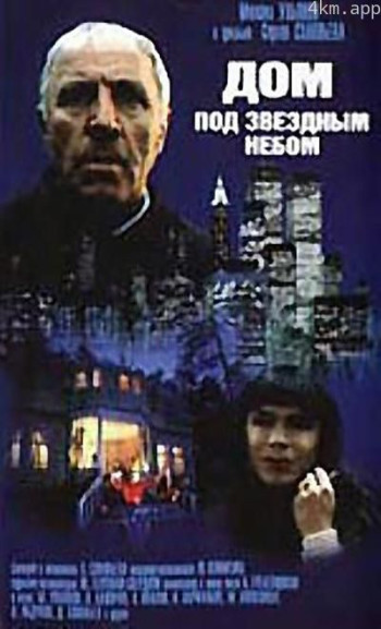 群星注视下的小屋