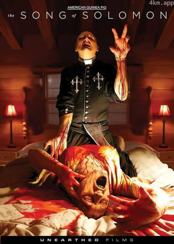 美国豚鼠3：所罗门之歌