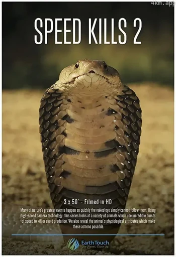 极速猎杀 第二季