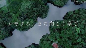 晚安，对岸再会