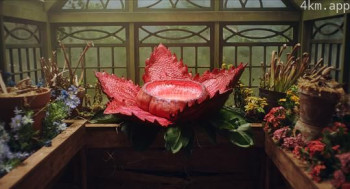 克拉米提奇遇记