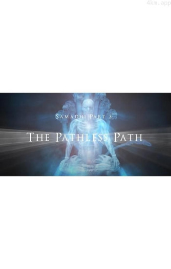 三摩地 第三部 无路之道