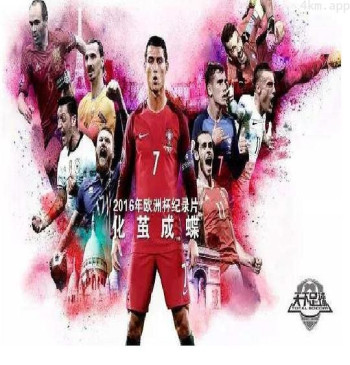 化茧成蝶：2016年欧洲杯纪录片