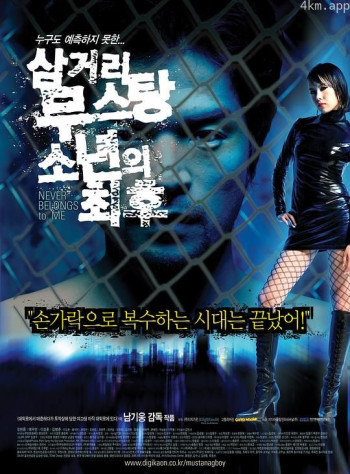 三岔路野马战斗机少年的最后