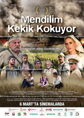 我的手绢有百香果味