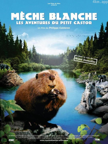 河狸白毛历险记