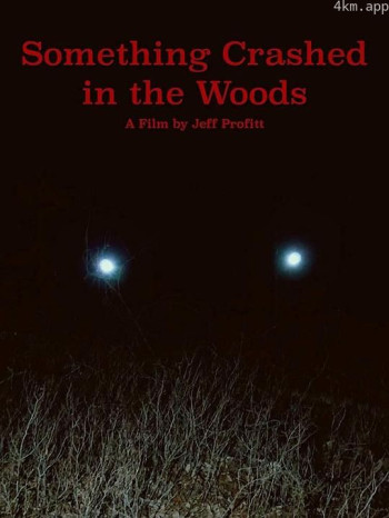 Something Crashed in the Woods
