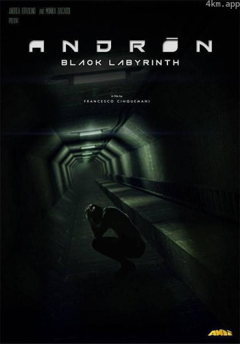 安德烈:黑色的迷宫