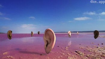 What the Heart Wants