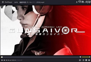 機銃特捜 ガンセイバー