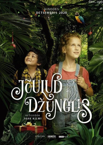 Christmas in the Jungle