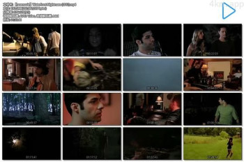 Waterfront Nightmare