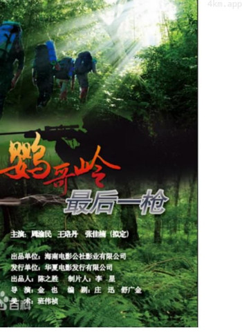 鹦哥岭，最后一 枪