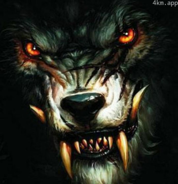 Male\/Female Bondage Captives