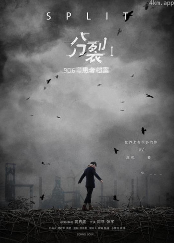 分裂1：906号患者档案