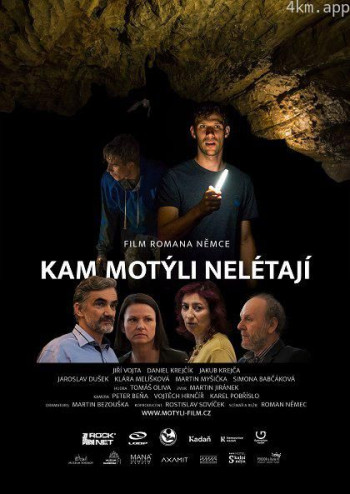 蝴蝶不飞的地方