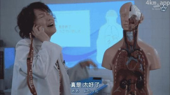 科搜研之女 2017秋季特别篇