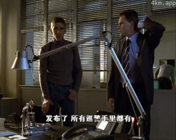 火线干探之追捕