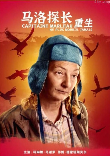 马洛探长：重生