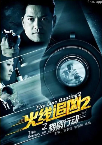 火线追凶2之鹈鹕行动