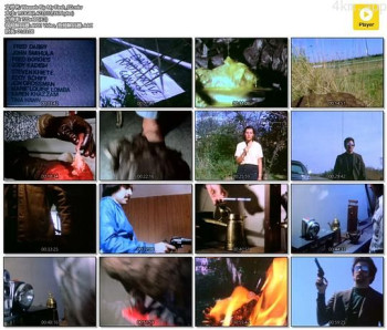 Weasels Rip My Flesh