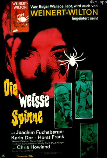 Die weiße Spinne