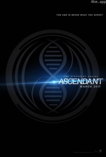 分歧者4:上升之势