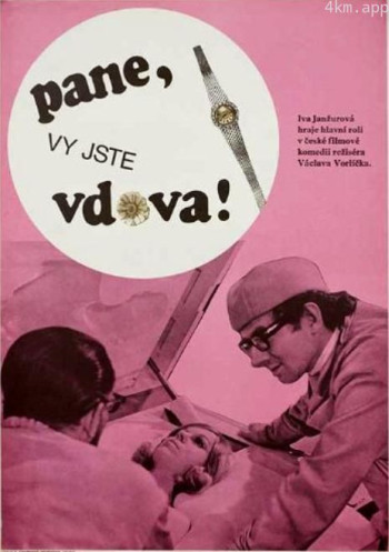 先生呐，你可是个鳏夫啊！