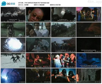 少林大战终结者