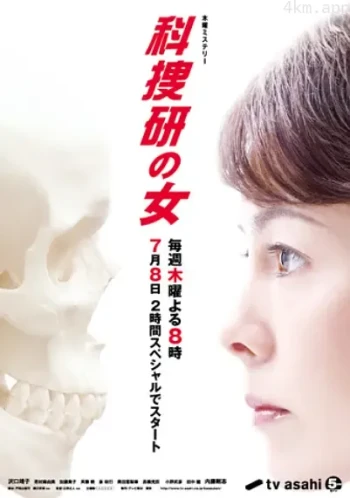 科搜研之女 第十七季