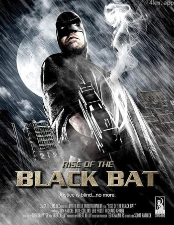 黑蝙蝠崛起