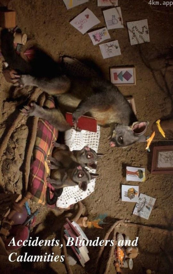 事故、错误和灾难