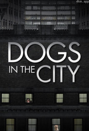狗狗在都市 第一季